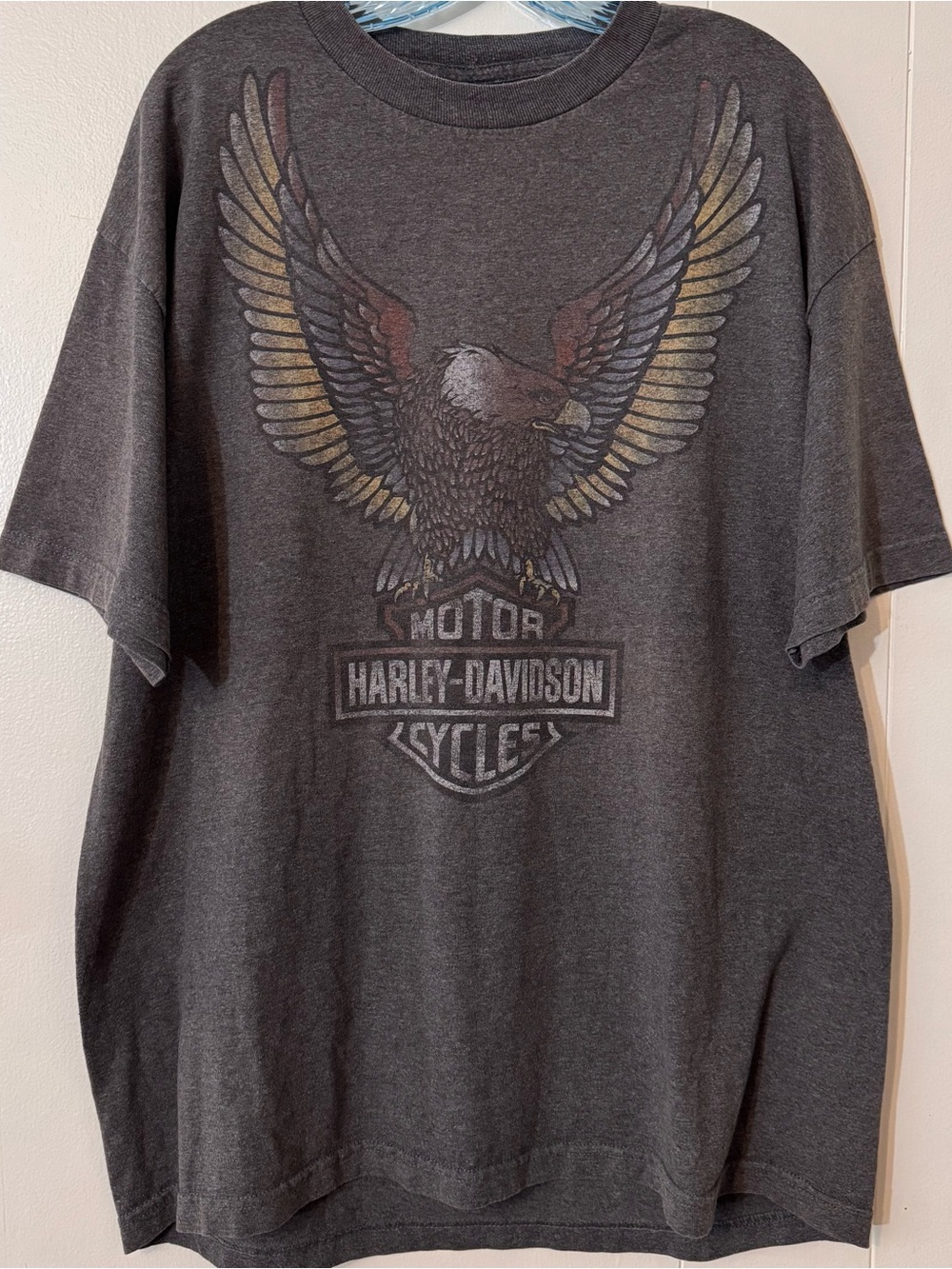 Harley Davidson Gray Rossiter’s Florida XL